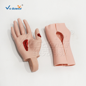 Módulo Avanzado de Evaluación de Traumas para Entrenamiento Médico de Emergencia con Múltiples Sitios de Heridas - Product Image 4