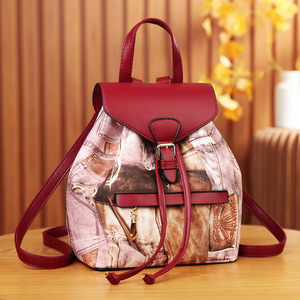 New Printed Handbag, Fashionable and Versatile, <b>Student</b> Travel, Large Capacity Crossbody <b>Backpack</b> - Product Image 1