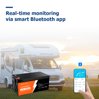 بطارية LiFePO4 عالية الدقة بجهد 300Ah حزمة ضمان لمدة عامين-تزويد دفعة RV Camper قارب بدورة عميقة ليثيوم الحديد