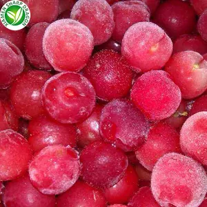 IQF Best Frozen Organic Dark Red Sweet Tart Pitted Cherries Unsweetened Acerola Berry Freeze Freezing Bulk Wholesale Price