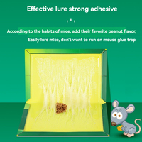 Piège à colle écologique promotionnel pour souris et rats, attractif, en forme de planche verte, en vente chez Greenergy Home & Garden