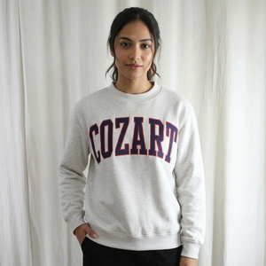 COZART ASH GREY Hooded Fleece Pullover 100% Cotton <b>NAVY</b> BLUE Applique Embroidery Breathable Quick Dry Winter URBAN PRODUCTIONS - Product Image 1