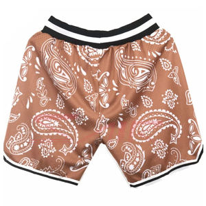 High Quality Polyester <b>Mens</b> <b>Mesh</b> <b>Shorts</b> 5 Inch Inseam Custom Logo Print Wholesale Designer Basketball Sublimation High Street - Product Image 4