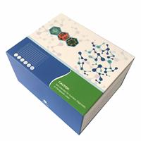 Kit de recherche ELISA pour la glycoprotéine humaine T-H, THP