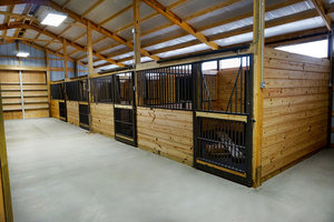 헛간 상자가있는 말 봉제 인형, 말 헛간을위한 네덜란드 문, <span class=keywords><strong>2</strong></span> 마리의 말 헛간 - Product Image 6