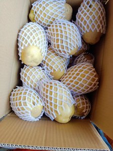 Mùa giải mới khoai tây giá rẻ giá tươi Khoai Tây Rau xuất khẩu trên toàn thế giới Chất lượng cao bán buôn - Product Image 5