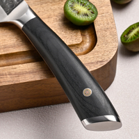 4,5-inch 67-laags Damascus staal VG10 kern steakmes gekarteld ultra scherp met Pakka houten handvat professioneel keukenmes