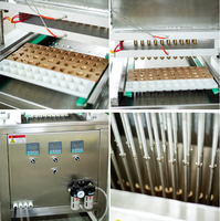 Déposeuse de bonbons sur tige à commande servo, machine de moulage de bonbons gélifiés de type table avec écran tactile PLC