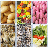 Industriële Verse Groente Fruit Reiniging Droogverwerking Machines Droogdata Wasmachine Te Koop