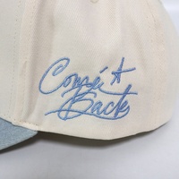 Gorras de Béisbol Populares de Moda 2025, de Tela de Mezclilla, con Bordado 3D Personalizado, Visera Curva, Estilo Deportivo Sencillo para Exteriores en Dos Tonos