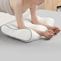 US Standard Queen King Size Polyester Out Cover Mold Oreiller de contour en mousse à mémoire de forme avec rouleau