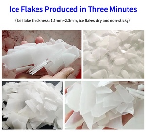 Machine à glace en <span class=keywords><strong>flocon</strong></span> <span class=keywords><strong>de</strong></span> 8 tonnes Machine à glace en <span class=keywords><strong>flocon</strong></span> Poisson frais Mille kg Machine à glace en <span class=keywords><strong>flocon</strong></span> Marque NP - Product Image 2