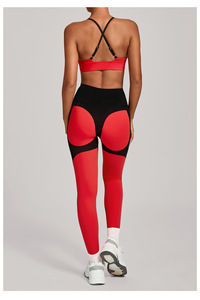 Abbigliamento Sportivo da Donna a Contrasto di Colore, Asciugatura Rapida, Reggiseno Sportivo e Leggings per <span class=keywords><strong>Palestra</strong></span> - Product Image 2