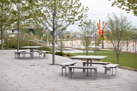 Elegante Mesa Cuadrada para Exteriores con Banco a Juego, Tablero de Madera Maciza, Estructura Metálica, Resistente, Juego de Asientos para Jardín, Parque o Camping, para Todas las Estaciones