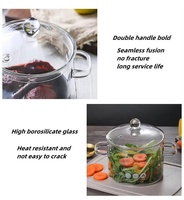Olla de Cocina de Vidrio Borosilicato Transparente, Tamaño Grande, Popular, Apta para Estufa, con Doble Asa, Apta para Lavavajillas, Diseño Moderno