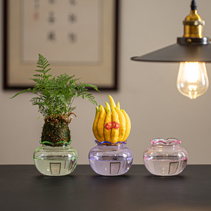 Florero de Vidrio Estilo Chino, Recipiente para Plantas Hidropónicas, Vidrio de Borosilicato de Alta Calidad, Decoración de Escritorio con Vegetación - Product Image 1