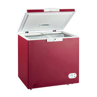 Congélateur coffre à double température et porte unique, 210L, grande capacité, pour usage domestique et commercial
