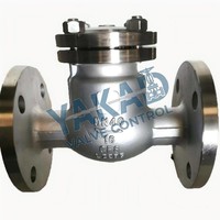 Vanne de retenue en acier inoxydable, type oscillant, filetage BSP NPT, pour applications d'alimentation en eau et de plomberie