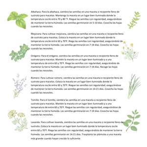 14 espèces de plantes biologiques-sans OGM-Set d'herbes culinaires - Product Image 6