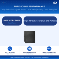 Subwoofer passif mono professionnel de 18 pouces, puissance 600W, 8 ohms, bobine vocale en cuivre NL4, bass reflex, 32Hz-400Hz, système de sonorisation pour spectacles en direct