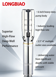 <span class=keywords><strong>Pompe</strong></span> centrifuge solaire JTSC <span class=keywords><strong>6</strong></span>'' pour puits profond, haut débit, avec turbine en acier inoxydable, sortie 2.5-4'', submersible, pour irrigation hors réseau - Product Image 3