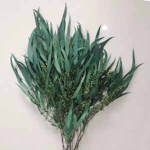 Feuilles d'eucalyptus séchées en gros d'usine 120g/lot, eucalyptus préservé et saule grainé pour arrangements floraux - Product Image 4
