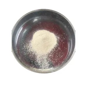 China Supplier Bulk Food Grade Saccharomyces Boulardii Probiotic Powder 20B cfu/g