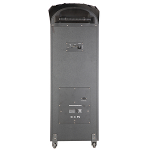 Geardon OEM ODM cao cấp kép 10inch bằng Gỗ + Nhựa USB TF SD BT Đảng Disco ánh sáng xách tay bluetooth không dây bên loa - Product Image 5