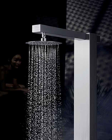 Colonne de douche extérieure chaude et froide en acier inoxydable 304/316, douche de piscine sur pied S315