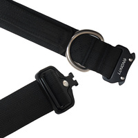 Collar de Perro Acolchado de Nailon Personalizable con Hebilla Metálica, Logotipo Impreso Personalizado y Opciones de Color, Fabricación Duradera