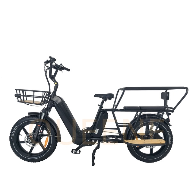 OEM Long Tail Cargo Electric Bicycle 250W 750W Dual Motor Lithium Battery E Bicycle Hydraulic Disc Brake 7speed Electric Bike