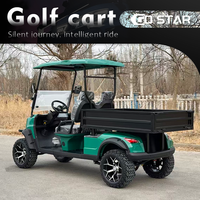 Carrito de Golf de 2 Pasajeros Equipado con Batería de Plomo-Ácido, Plataforma de Carga Grande, Vehículo de Doble Uso para Pasajeros y Carga, Ideal para Villas y Parques