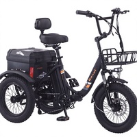 Nouveau modèle ER-214 Vélo à neige électrique pour adulte avec assistance au pédalage, moteur avant, pneus larges, tricycle, alimenté par batterie au lithium, panier utilitaire