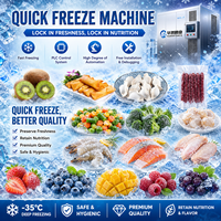 Industriële IQF-tunnelvriezer van 200 kg/uur, 304 roestvrij staal, hoge efficiëntie, automatische snelvriesmachine voor vis en fruit