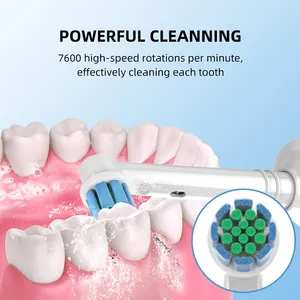 Electric Toothbrush Manufacturer SN12 Rechargeable IPX7 Waterproof Toothbrush