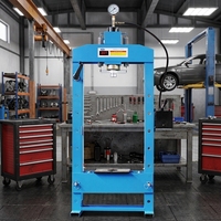 Presse hydraulique manuelle de luxe 20t neuve