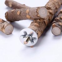 Perchoir en bois naturel pour perroquets - Jouet à mâcher avec design en forme d'échelle pour les perroquets de petite à moyenne taille