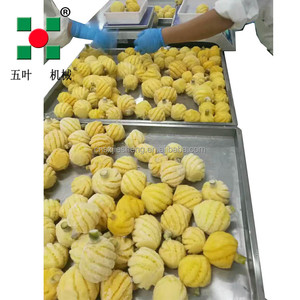 Công nghiệp liên tục công suất cao trái cây dây chuyền chế biến sản xuất trái cây đóng băng thiết bị trái cây dây chuyền sản xuất - Product Image 5