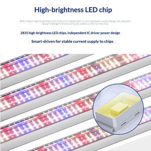 Lampe de culture pour semis, éclairage supplémentaire rouge <span class=keywords><strong>et</strong></span> bleu pour plantes, lampe de croissance des plantes à spectre complet - Product Image 2
