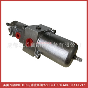 Vanne de réduction de pression à filtre double pliante Ash06-Fr-Sr-Md-10-X1-L217 1/2 pouce pour gaz et pneumatique - Product Image 2