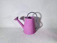 Arrosoir en acier galvanisé vintage durable personnalisé de 1,5 L pour plantes d'intérieur et d'extérieur