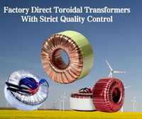 Transformateur de puissance toroïdal monophasé de haute qualité pour alimentation audio 500W