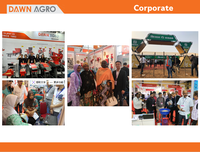 Pabrik Penggiling Padi Listrik DAWN AGRO dengan Mesin & Bantalan untuk Penggunaan Rumah Tangga Kapasitas 150kg/H Sistem Pembuangan Sekam Otomatis