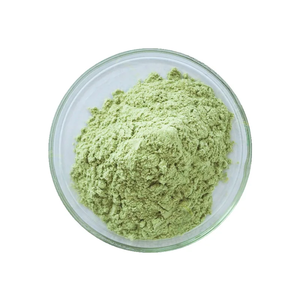 Broccoli estratto di germogli in polvere Broccoli estratto di fiore di Broccoli in polvere verde biologico Broccoli in polvere visione e supporto <span class=keywords><strong>per</strong></span> <span class=keywords><strong>l</strong></span>'immunità - Product Image 1