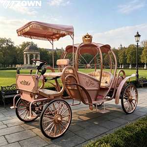 2026 Hot Sell Electric Pumpkin Carriage Cinderella Princess Royal Wedding Sightseeing Wagon 4-6 People <b>Canopy</b> Commercial 4 - Product Image 1