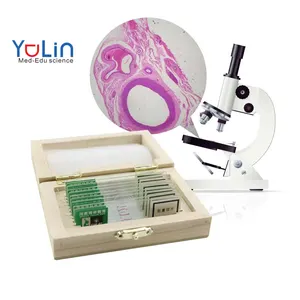 Lames d'embryon de grenouille de poulet de haute qualité science médicale d'usine lames de microscope préparées