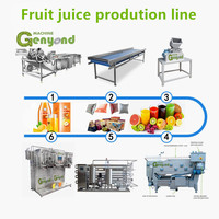 Fabriek Genyond Fruit Druivenpasta Honing Jam Puree Siroop Verwerkingsfabriek Druivensap Productielijn Maken Machine-Apparatuur