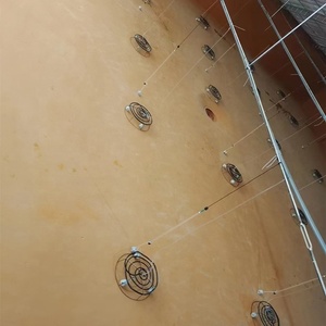 Revêtement imperméable en polyurée liquide de qualité <span class=keywords><strong>alimentaire</strong></span> (SPUA) <span class=keywords><strong>pour</strong></span> la pisciculture, la peinture des bateaux et le revêtement du caoutchouc - Product Image 1