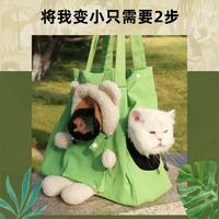 Sac à dos de transport portable pour chat, chien et petits animaux de compagnie, avec logo ours de dessin animé, à porter en bandoulière, à la main ou sur l'épaule, avec capuche
