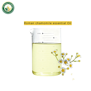 Aceite Esencial de Manzanilla Romana 100% Puro de Alta Calidad, Extracto de Planta Natural de Grado Alimenticio - Product Image 2